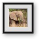 Buy Framed Print