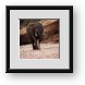 Buy Framed Print