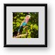 Buy Framed Print