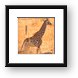 Baby Masai Giraffe Framed Print