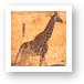 Baby Masai Giraffe Art Print
