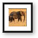 Mother and Baby Elephants Framed Print