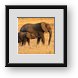 Buy Framed Print