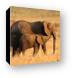 Buy Canvas Print