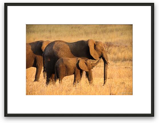 Mom, pay attention to me! Framed Fine Art Print