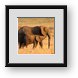 Buy Framed Print