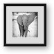 Buy Framed Print