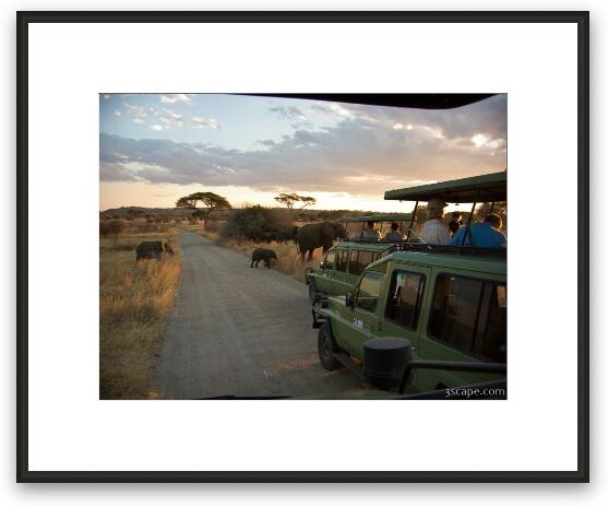 Elephant crossing... Framed Fine Art Print