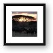 Herd of buffalo at sunset by an acacia tree Framed Print
