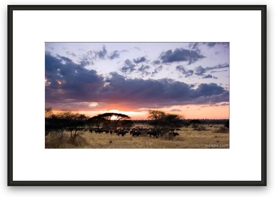 Tarangire Sunset Framed Fine Art Print