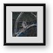 Buy Framed Print