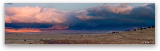 Dawn in Ngorongoro Crater Panoramic Fine Art Metal Print