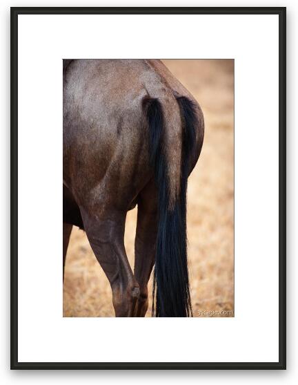 Wildebeest butt Framed Fine Art Print