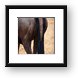 Wildebeest butt Framed Print