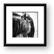 Wildebeest Framed Print