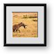Buy Framed Print
