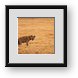 Buy Framed Print