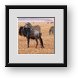 Buy Framed Print
