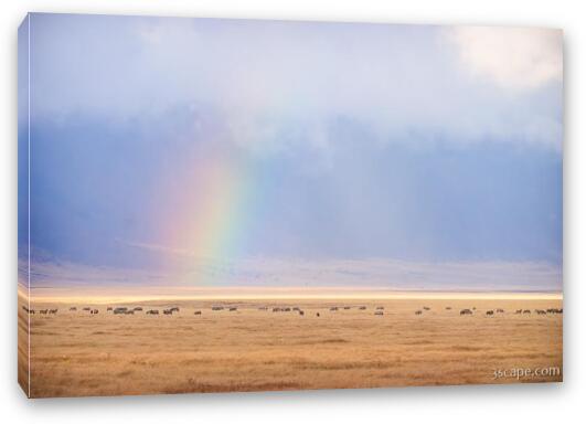 Rainbow and animals on the crater floor Fine Art Canvas Print