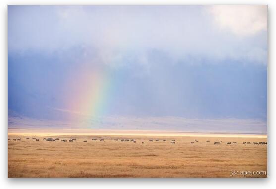Rainbow and animals on the crater floor Fine Art Metal Print