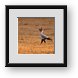 Buy Framed Print