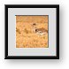 Buy Framed Print