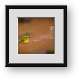 Buy Framed Print