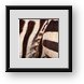 Buy Framed Print