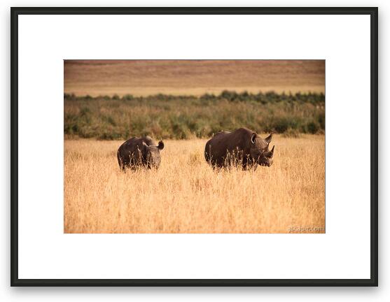 Black Rhinoceros with baby Framed Fine Art Print