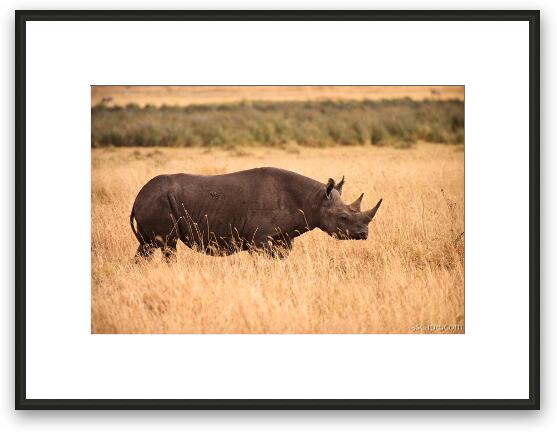 Black Rhino Framed Fine Art Print