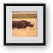 Buy Framed Print