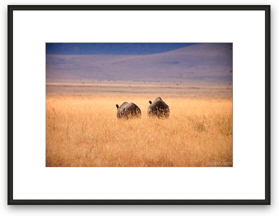 Two Rhinos Framed Fine Art Print