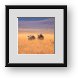 Buy Framed Print