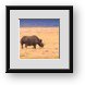 Buy Framed Print