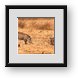 Buy Framed Print