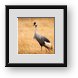 Buy Framed Print
