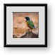 Buy Framed Print
