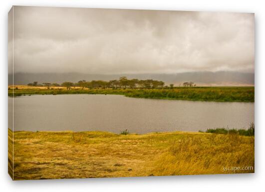 One of two hippo ponds in the crater Fine Art Canvas Print