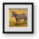Buy Framed Print