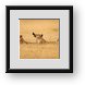 Buy Framed Print