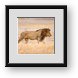Buy Framed Print