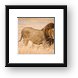 Large male lion Framed Print
