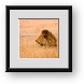 Buy Framed Print