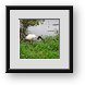 Buy Framed Print