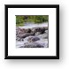 These hippos were laying all over each other Framed Print