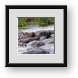 Buy Framed Print