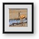 Buy Framed Print