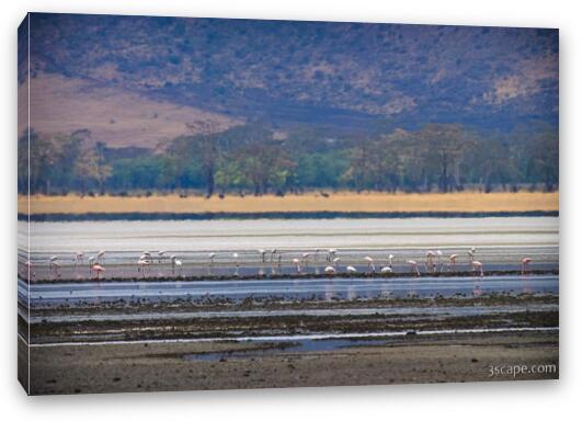 Lake Magadi is the most dominant water feature in the crater, though it was mostly dry Fine Art Canvas Print