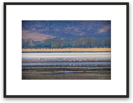 Lake Magadi is the most dominant water feature in the crater, though it was mostly dry Framed Fine Art Print
