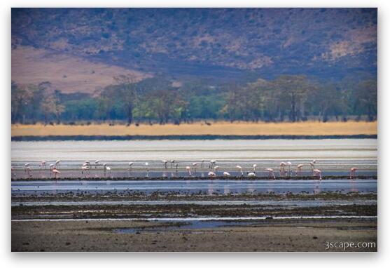 Lake Magadi is the most dominant water feature in the crater, though it was mostly dry Fine Art Metal Print